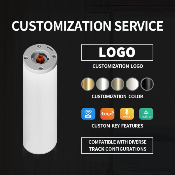 Tuya Curtain Motor